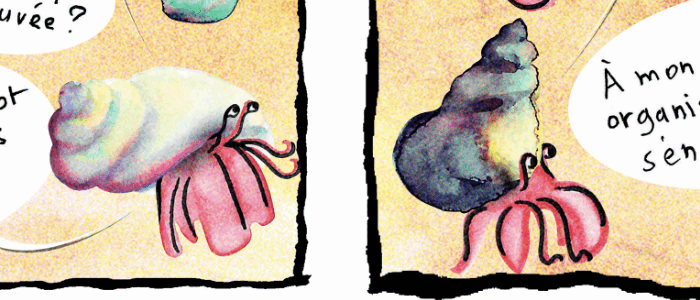 Crabitat