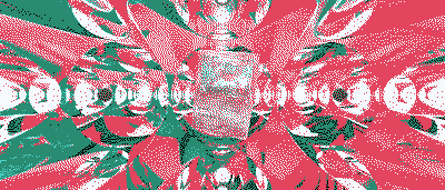 TCG: Travelling Card Game